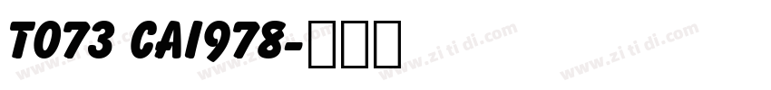 T073 CAI978字体转换